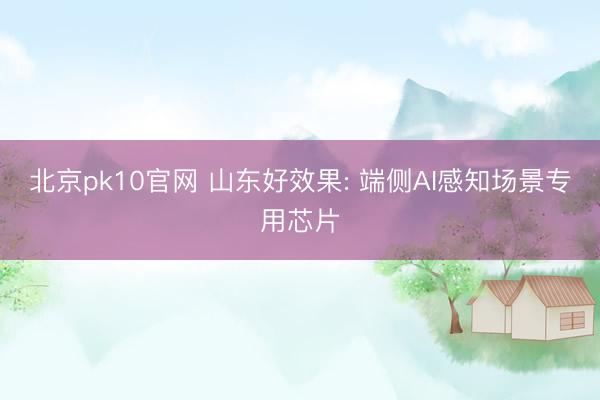 北京pk10官网 山东好效果: 端侧AI感知场景专用芯片