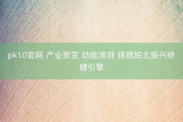 pk10官网 产业聚变 动能滂湃 铸就皖北振兴矫健引擎
