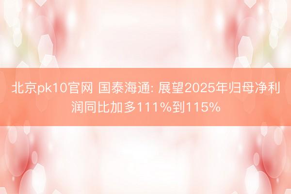 北京pk10官网 国泰海通: 展望2025年归母净利润同比加多111%到115%