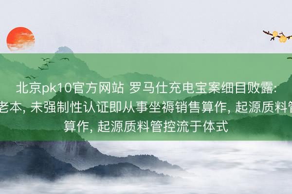 北京pk10官方网站 罗马仕充电宝案细目败露: 为压缩坐褥老本， 未强制性认证即从事坐褥销售算作， 起源质料管控流于体式