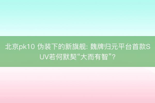 北京pk10 伪装下的新旗舰: 魏牌归元平台首款SUV若何默契“大而有智”?