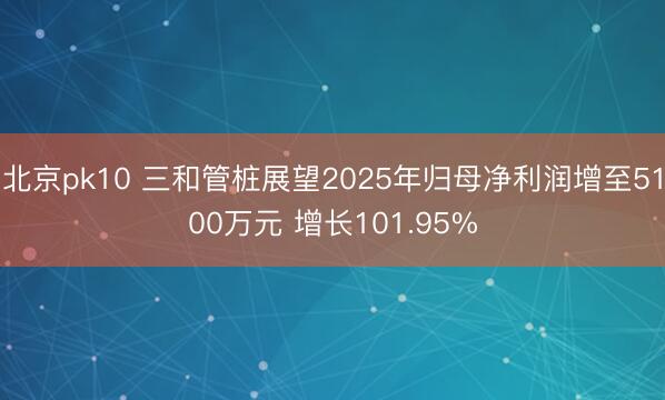 北京pk10 三和管桩展望2025年归母净利润增至5100万元 增长101.95%