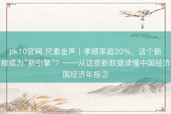 pk10官网 尺素金声｜孝顺率超20%，这个新产业何故成为“新引擎”？——从这些新数据读懂中国经济年报③