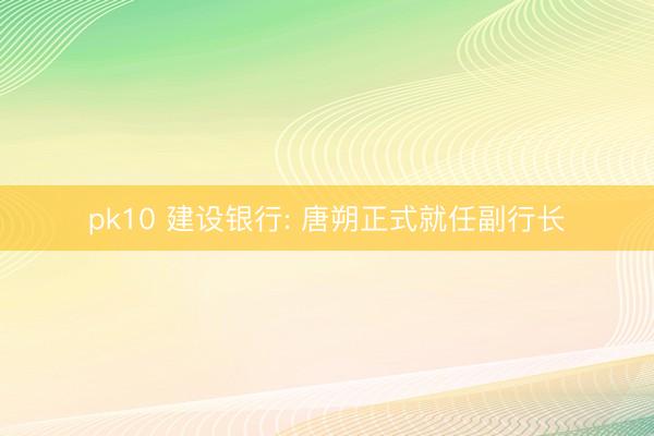 pk10 建设银行: 唐朔正式就任副行长