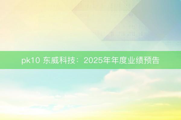pk10 东威科技：2025年年度业绩预告