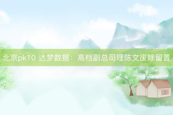 北京pk10 达梦数据:高档副总司理陈文废除留置