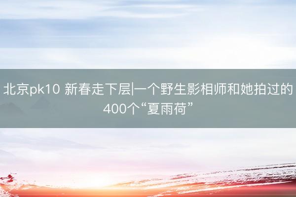 北京pk10 新春走下层|一个野生影相师和她拍过的400个“夏雨荷”