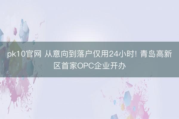 pk10官网 从意向到落户仅用24小时! 青岛高新区首家OPC企业开办