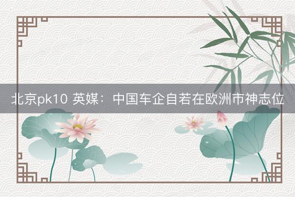 北京pk10 英媒:中国车企自若在欧洲市神志位
