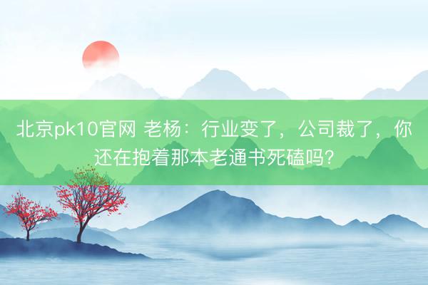 北京pk10官网 老杨：行业变了，公司裁了，你还在抱着那本老通书死磕吗？