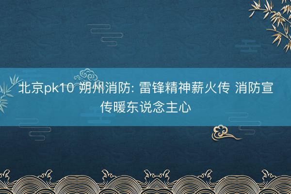 北京pk10 朔州消防: 雷锋精神薪火传 消防宣传暖东说念主心