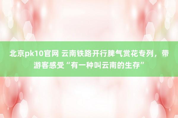 北京pk10官网 云南铁路开行脾气赏花专列，带游客感受“有一种叫云南的生存”
