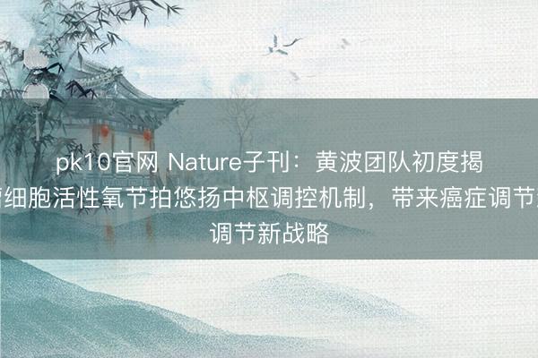 pk10官网 Nature子刊：黄波团队初度揭示肿瘤细胞活性氧节拍悠扬中枢调控机制，带来癌症调节新战略