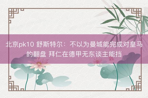 北京pk10 舒斯特尔：不以为曼城能完成对皇马的翻盘 拜仁在德甲无东谈主能挡