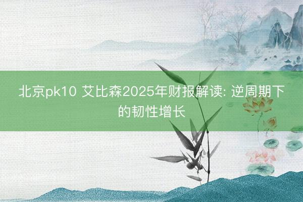 北京pk10 艾比森2025年财报解读: 逆周期下的韧性增长