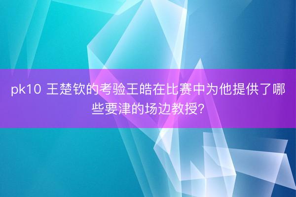 pk10 王楚钦的考验王皓在比赛中为他提供了哪些要津的场边教授？