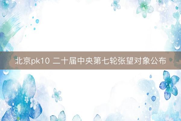 北京pk10 二十届中央第七轮张望对象公布
