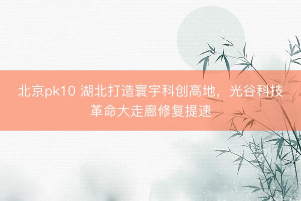 北京pk10 湖北打造寰宇科创高地,光谷科技革命大走廊修复提速